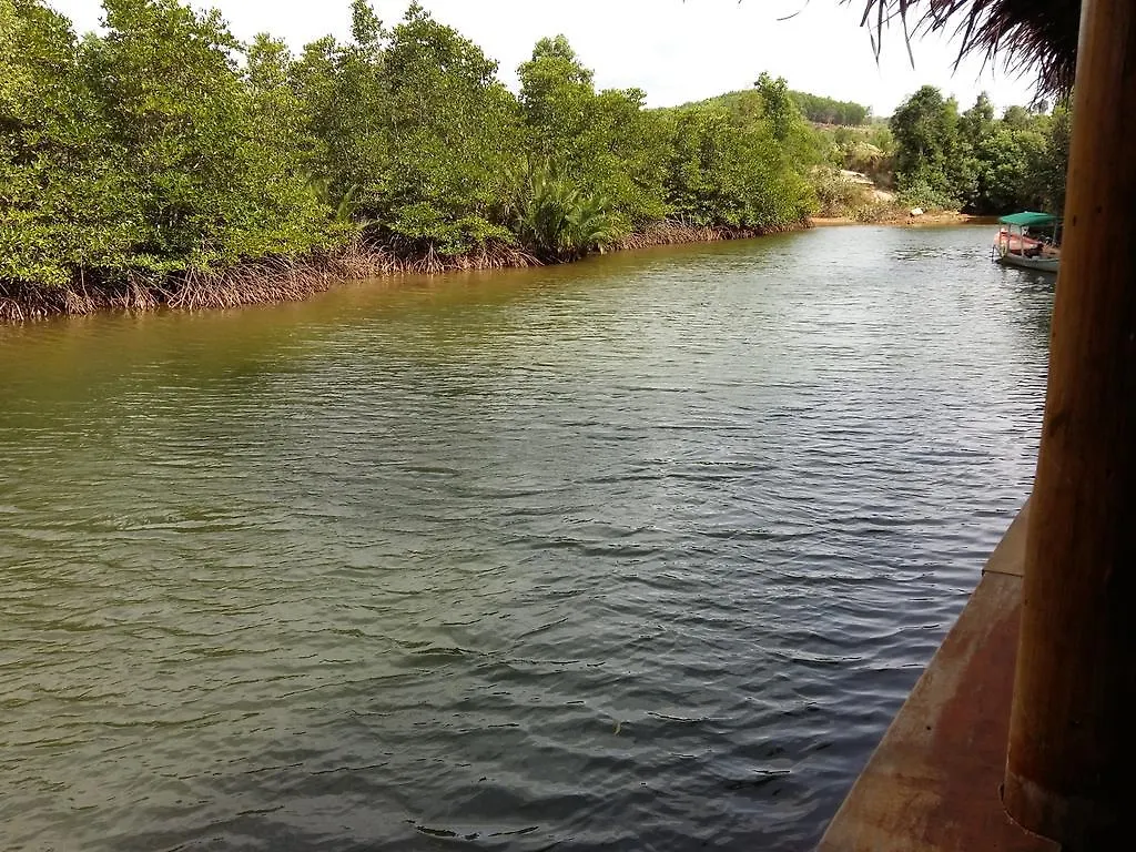 Mangroves & More @ Cambodia Sihanoukville Kambodja