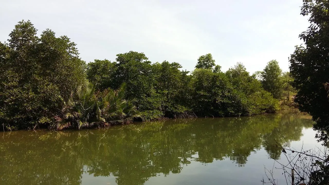 Mangroves & More @ Cambodia Sihanoukville 0*,