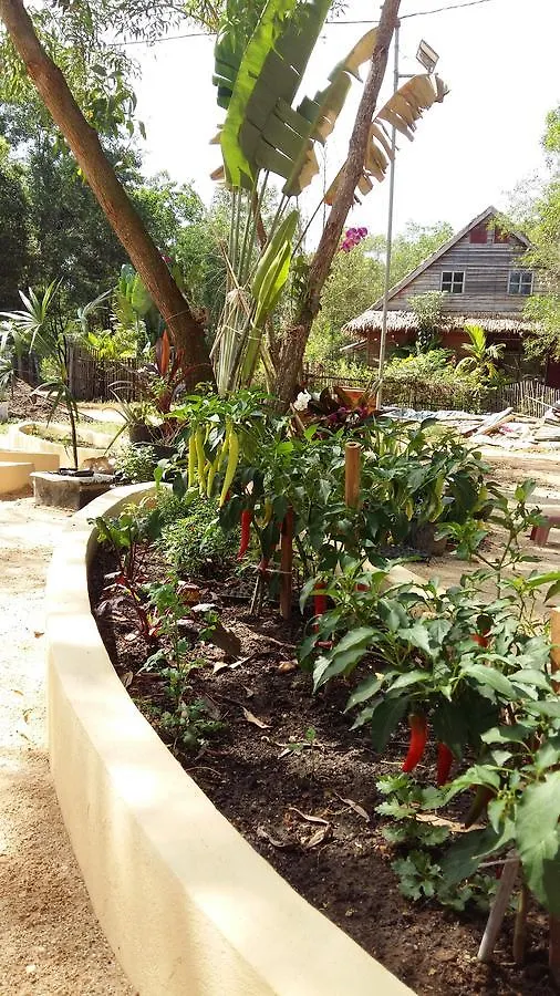 Jaktstuga Mangroves & More @ Cambodia Sihanoukville