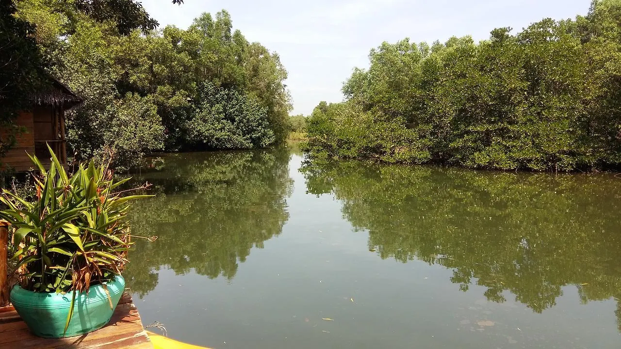 Mangroves & More @ Cambodia Sihanoukville Kambodja