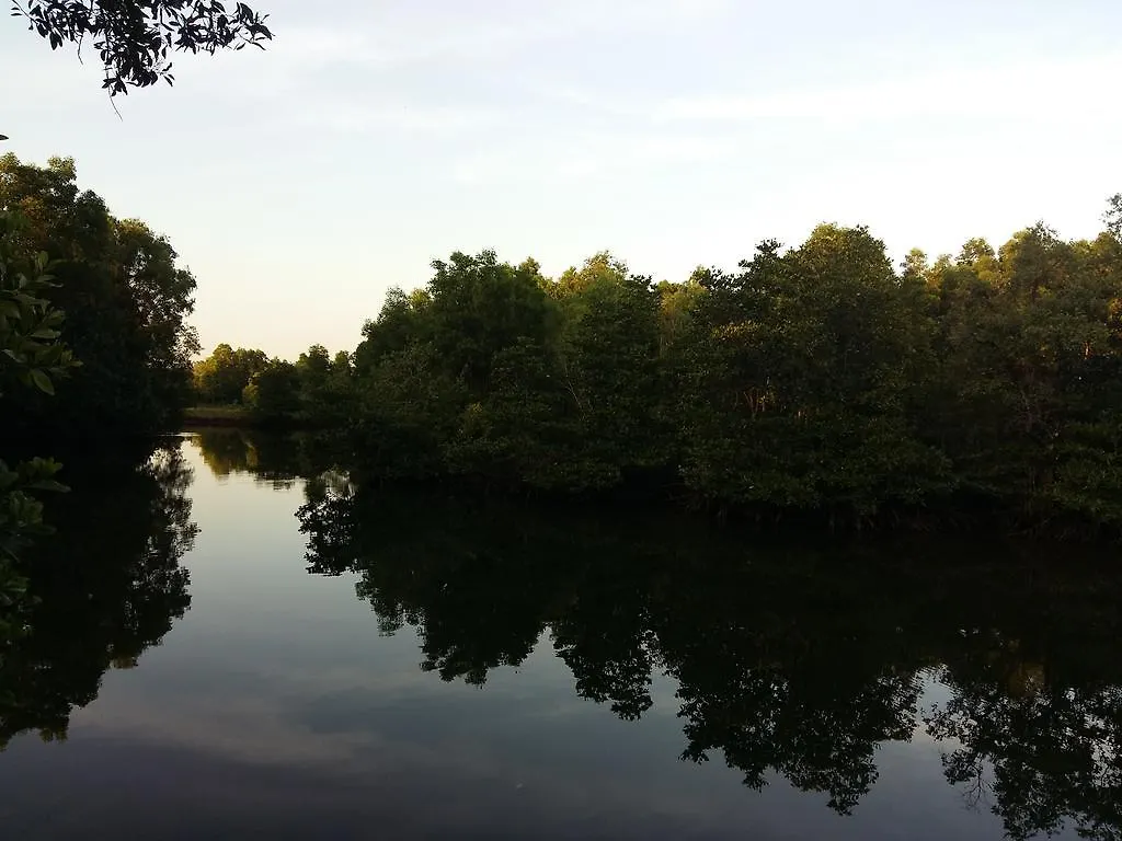 Деревянный коттедж Mangroves & More @ Cambodia Сиануквиль