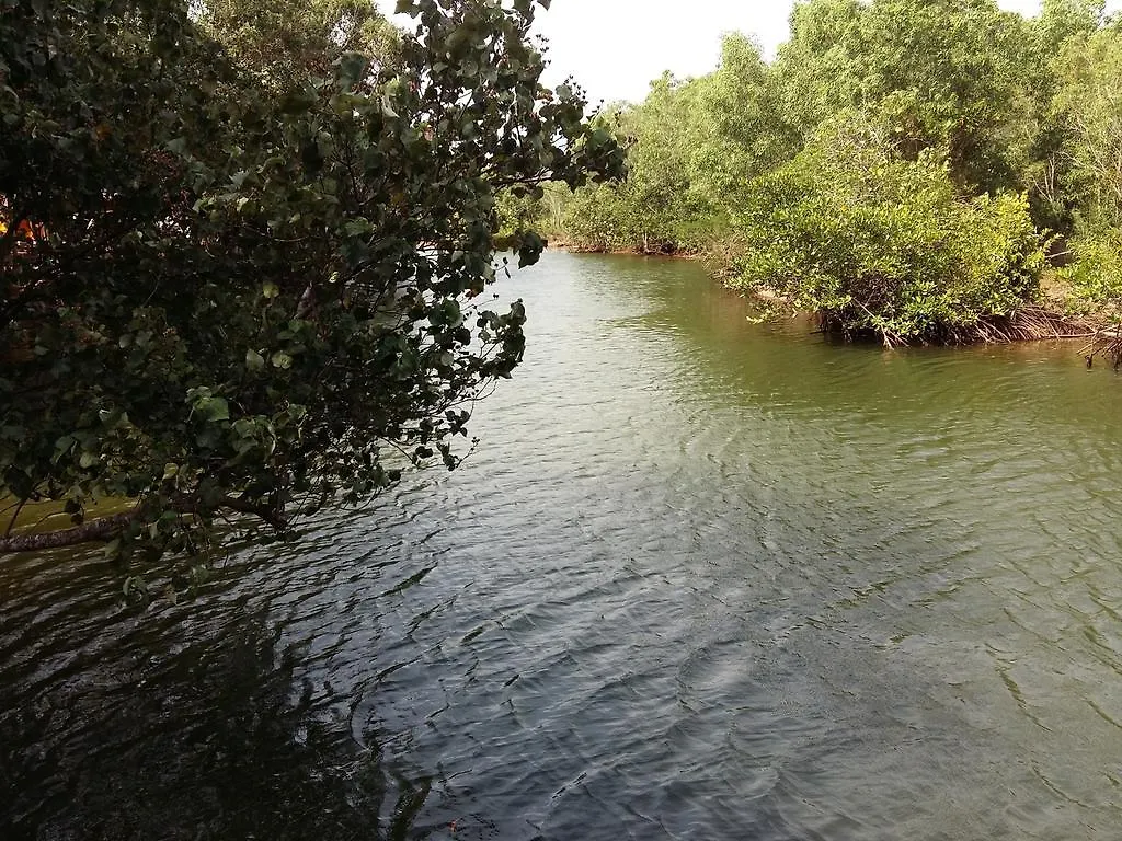 Mangroves & More @ Cambodia Сиануквиль 0*,  Камбоджа