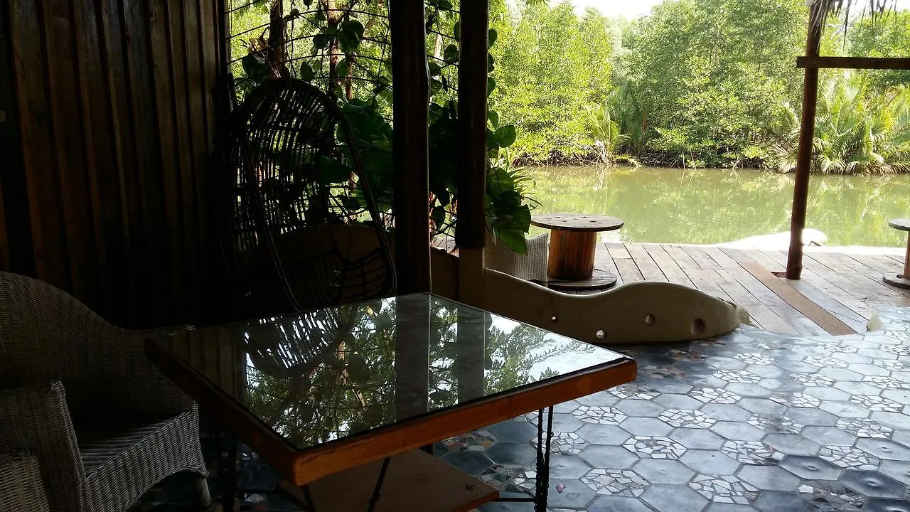 Mangroves & More @ Cambodia Сиануквиль